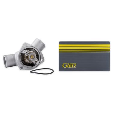 GANZ GRF08009 Термоэлемент ВАЗ 21082 с крышкой - 2