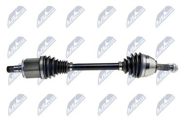 NTY NPW-BM-143 | лев | - 1