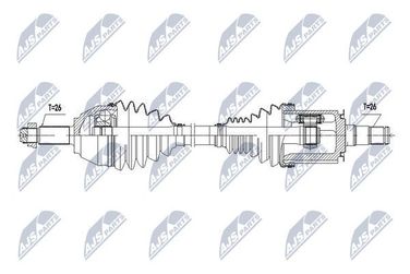 NTY NPW-BM-143 | лев | - 4