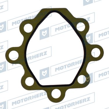 Motorherz HPP0015GP Прокладка насоса ГУР - 1