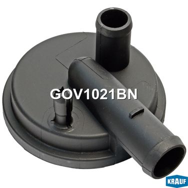 Krauf GOV1021BN Маслоотделитель (квкг) - 1