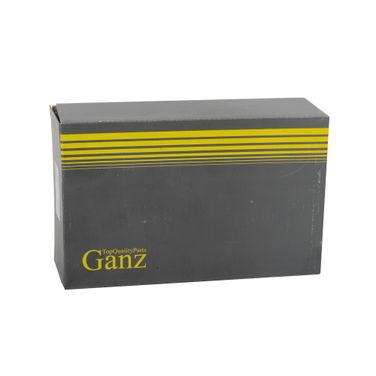 GANZ GIL06205 Опора двигателя - 3