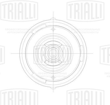 Trialli SA 2058 Опора стойки перед. для а/м Citroen C4 (04-)/Berlingo (09-)/Peugeot 307 (00-)/Partner (09-) (без подшип.) | перед прав/лев | - 1