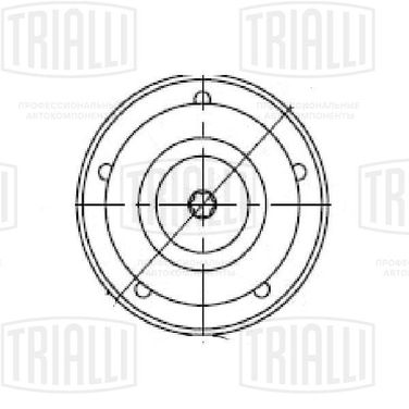 Trialli CM 5542 Ролик промежуточный навесного оборудования - 1