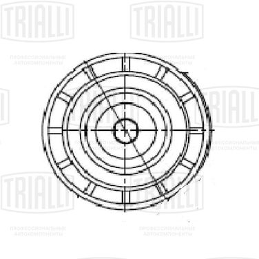 Trialli CM 5551 Насос водяной - 1