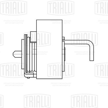 Trialli CM 6110 Ролик-натяжитель ремня ГРМ - 1