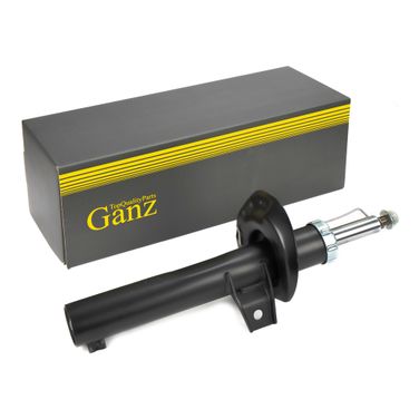 GANZ GIK02012 Амортизатор передний L=R VW Tiguan 08-> - 1