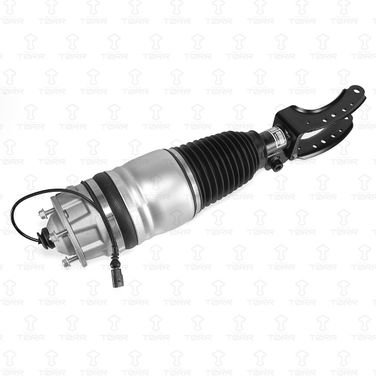 TORR DV3107R Амортизатор - 1
