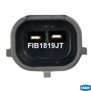 Krauf FIB1819JT Форсунка бензиновая - 2