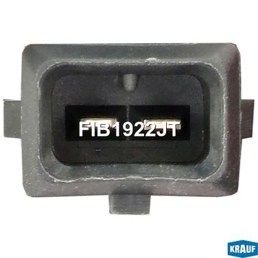Krauf FIB1922JT Форсунка бензиновая - 2