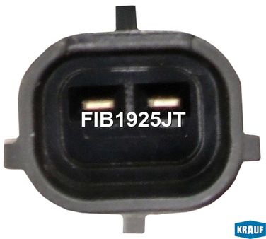 Krauf FIB1925JT Форсунка бензиновая - 2