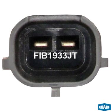 Krauf FIB1933JT Форсунка бензиновая - 2