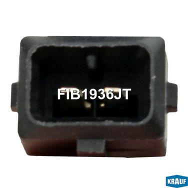 Krauf FIB1936JT Форсунка бензиновая - 2