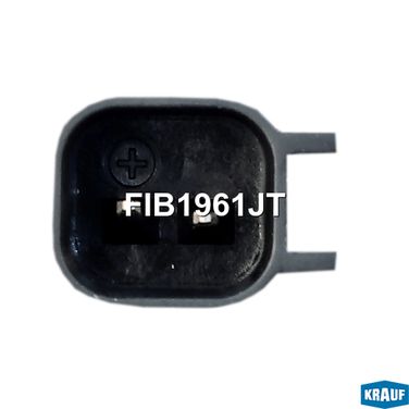 Krauf FIB1961JT Форсунка бензиновая - 3