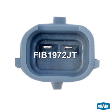 Krauf FIB1972JT Форсунка бензиновая - 3