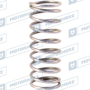 Motorherz HLL00572 Пружина - 1