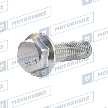 Motorherz HLL00600 Болт рулевого агрегата - 1