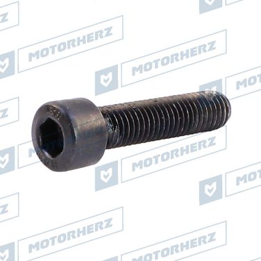 Motorherz HLL00596 Болт рулевого агрегата - 1