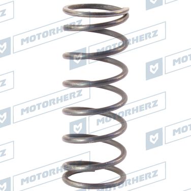Motorherz HLL00569 Пружина - 1
