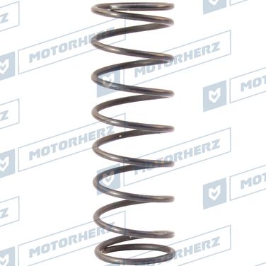 Motorherz HLL00576 Пружина - 1