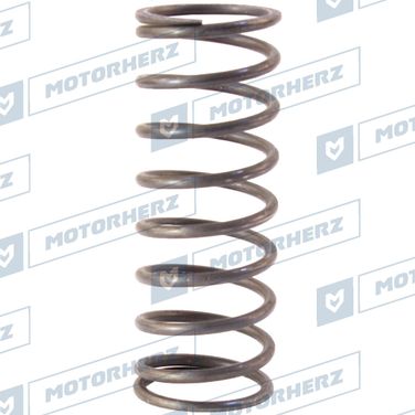 Motorherz HLL00604 Пружина - 1