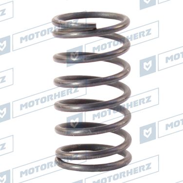 Motorherz HLL00607 Пружина - 1
