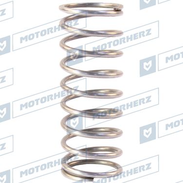 Motorherz HLL00583 Пружина - 1