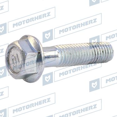 Motorherz HLL00602 Болт рулевого агрегата - 1