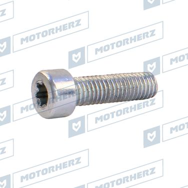 Motorherz HLL00609 Болт рулевого агрегата - 1