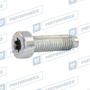 Motorherz HLL00619 Болт рулевого агрегата - 1