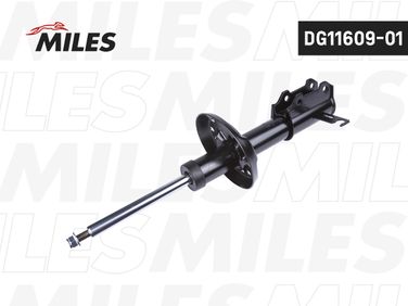 Miles DG1160901 Амортизатор подвески - 2