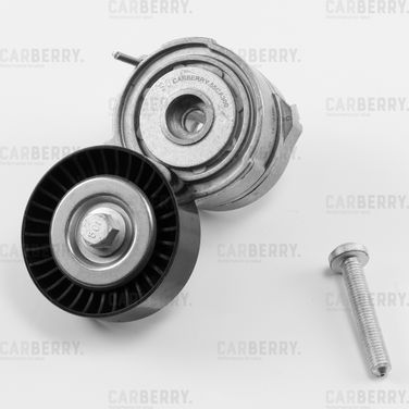 Carberry 55CA300 Натяжитель поликлинового ремня с роликом - 1