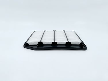 BIG Filter GB-95136 Фильтр воздушный - 1