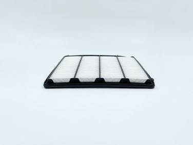 BIG Filter GB-95136 Фильтр воздушный - 2