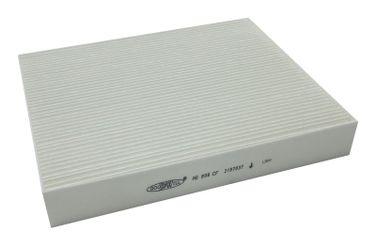 GoodWill AG 898 CF Фильтр салона - 1