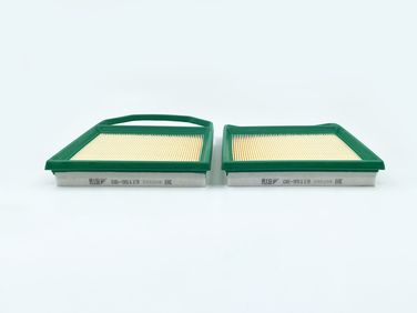 BIG Filter GB-95119 Фильтр воздушный - 1