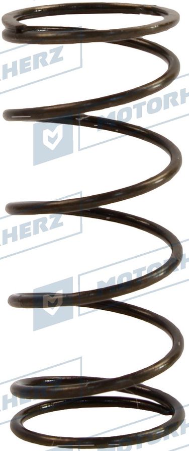 Motorherz HLL00276 Пружина - 1