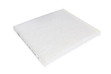 RAF Filter RST003HYXY Фильтр салона - 2
