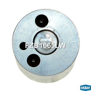 Krauf FZB1665LW Распылитель форсунки - 2