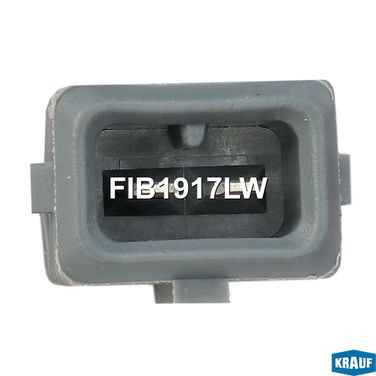 Krauf FIB1917LW Форсунка бензиновая - 3