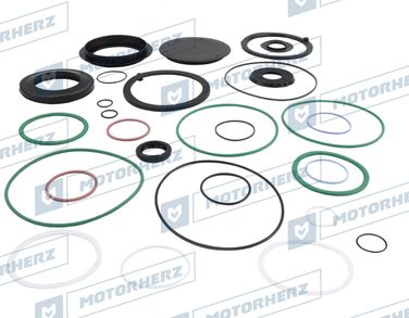 Motorherz HKZ0476 Ремкомплект рулевого редуктора - 1