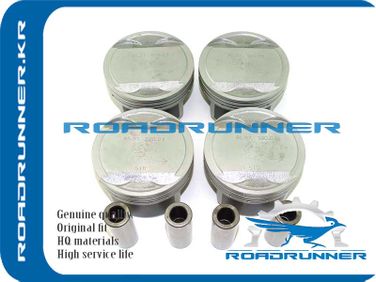 RoadRunner RR234102G000 Поршень двигателя в сборе - 1