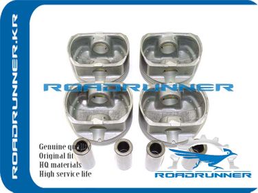 RoadRunner RR234102G000 Поршень двигателя в сборе - 2