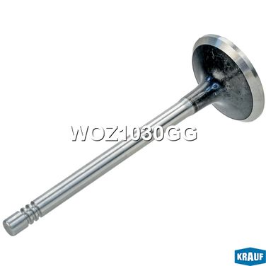 Krauf WOZ1030GG Клапан выпускной - 2