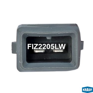 Krauf FIZ2205LW Форсунка бензиновая - 3