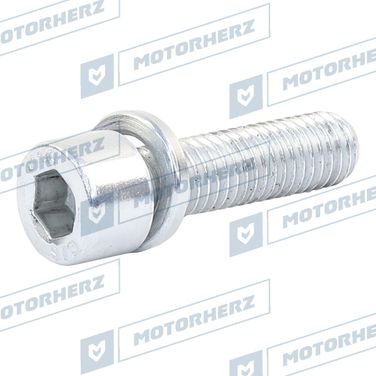 Motorherz HLL00953 Болт рулевого агрегата - 1