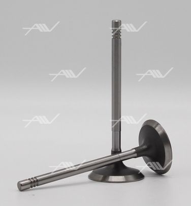 AUTOWELT VI51027 Vi-51027 клапан впуск VAG cbza/cbzb/cbzc 35.5x6x98.7 - 1