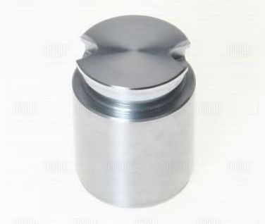 Trialli RCF 084730 Поршень суппорта для а/м Kia Picanto (04-) зад. d=34мм | зад | - 3
