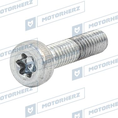 Motorherz HLL00975 Болт рулевого агрегата - 1