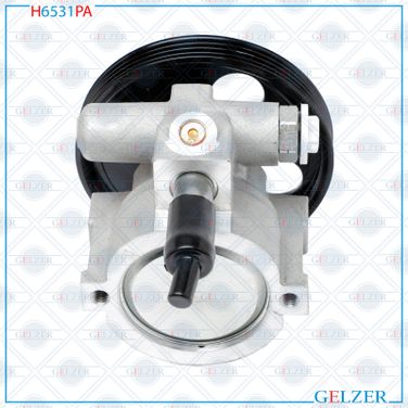 GELZER H6531PA Насос гидроусилителя руля Renault Clio II / Symbol 1998-2008, Renault Kangoo 1997-2008 (Аналог) - 6